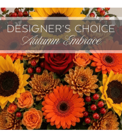 Designer's Choice Autumn Embrace. An arrangement by The Greenhouse Florist. Designer's Choice Autumn Embrace. An arrangement by The Greenhouse Florist.