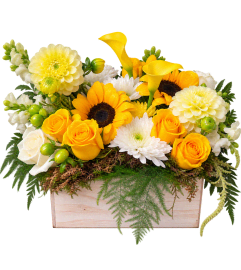 Golden Days Farmhouse. An arrangement by Donato's Floral.