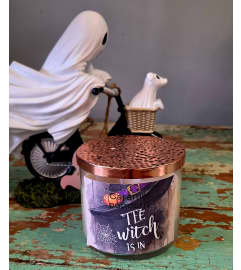 THE WITCH IS IN CANDLE. An arrangement by Garden of Elegance. THE WITCH IS IN CANDLE. An arrangement by Garden of Elegance.