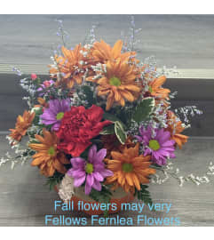Fellows Fall Pumpkin Spice. An arrangement by Fellows Fernlea Flowers.