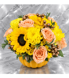 Delighted Pumpkin. An arrangement by Brickell Glamour Flowers. Delighted Pumpkin. An arrangement by Brickell Glamour Flowers.