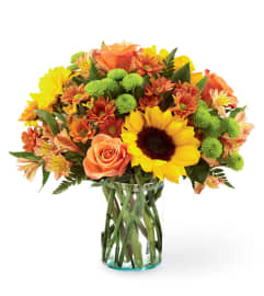 Autumn Splendour Bouquet. An arrangement by Flowers and Beyond.