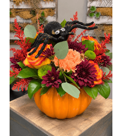 Spooky Harvest Pumpkin. An arrangement by Donato's Floral. Spooky Harvest Pumpkin. An arrangement by Donato's Floral.