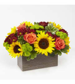 Happy Harvest Garden™ by FTD. An arrangement by Sueppel's Flowers.