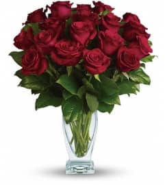 Teleflora's Rose Classique - Dozen Red Roses. An arrangement by Devine Orchid.