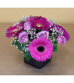 Perfectly Purple. An arrangement by Ditmars Flower Shop.