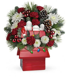 Snoopy's Cookie Jar by Teleflora. An arrangement by Pompano Beach Floral.