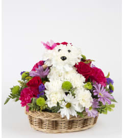 Puppy Love. An arrangement by Athena Flowers.