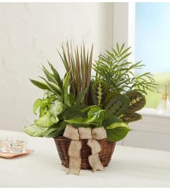 Classic Dish Garden. An arrangement by Blessing and Blooms Florist.