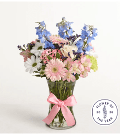 Watercolor Skies™ Delphinium Bouquet. An arrangement by Sicola's Florist.