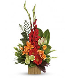 HEARTS COMPANION. An arrangement by Fine's Flowers.