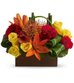 Teleflora's Bamboo Getaway. An arrangement by Dowling Flowers.