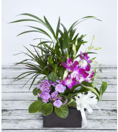Little Jungle. An arrangement by Massey's House of Flowers.