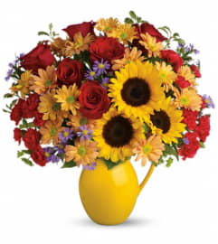 Teleflora's Sunny Day Pitcher of Joy. An arrangement by GardeLina Flowers.