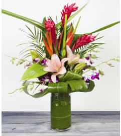 Tropical Breeze Arrangement. An arrangement by Alexa's Flowers.