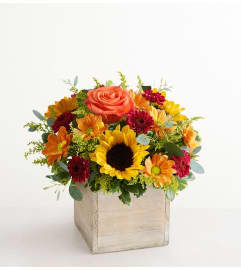 The Harvest Glow™ Bouquet. An arrangement by 1800flowers Encinitas.