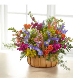 Garden of Life Basket. An arrangement by Royal Louis Florist.