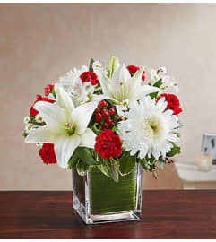 Healing Tears™ Red and White. An arrangement by Blessing and Blooms Florist.