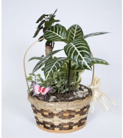 Garden's Beauty. An arrangement by Erleene's Florist.