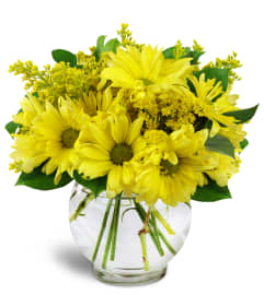 Daisy Dreams™. An arrangement by Flowers by La Gi.