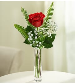 Love's Embrace™ Roses - Red. An arrangement by Blessing and Blooms Florist.