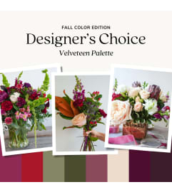 Velveteen™ Designer's Choice. An arrangement by Elegant Florist.