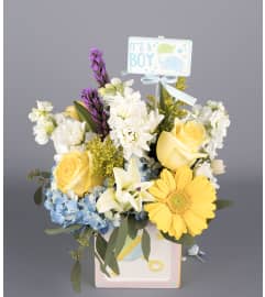 Baby Boy Delight. An arrangement by Floral Expressions and Gifts Inc..
