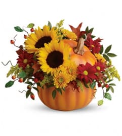 Teleflora's Pretty Pumpkin Bouquet. An arrangement by Pompano Beach Floral.