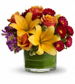 Teleflora's Blossoms of Joy. An arrangement by Marivel's Florist and Gifts.