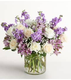 The Lovely Lavender Medley™ Extra Large. An arrangement by Sicola's Florist. The Lovely Lavender Medley™ Extra Large. An arrangement by Sicola's Florist.