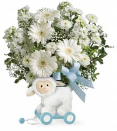 Teleflora's Sweet Little Lamb - Baby Blue. An arrangement by Devine Orchid.