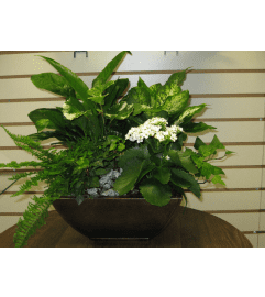 Elegant White Garden. An arrangement by Nicol Florist.