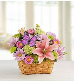 Garden Inspiration. An arrangement by Blessing and Blooms Florist.