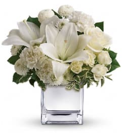 Teleflora's Peace and Joy Bouquet. An arrangement by Pompano Beach Floral.