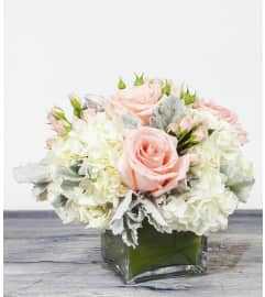 Touchable Softness. An arrangement by Alexa's Flowers.