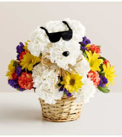 Cool Pup™. An arrangement by Graceland Florist.