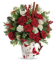 Send a Hug® Christmas Cardinal by Teleflora. An arrangement by Pompano Beach Floral.