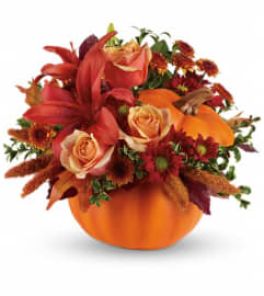 Autumn's Joy by Teleflora. An arrangement by Pompano Beach Floral.