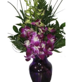 Purple Princesss. An arrangement by Shalimar Flower Shop.