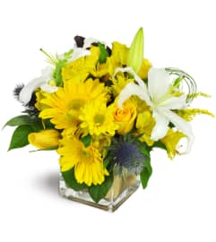 Gold Rush™. An arrangement by Erika's Flowers.