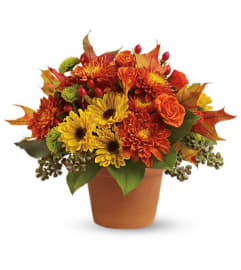 Sugar Maples. An arrangement by Pompano Beach Floral.