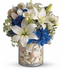 Everything's Beachy by Teleflora. An arrangement by Devine Orchid.