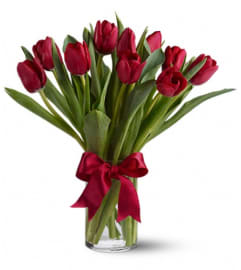 Radiantly Red Tulips. An arrangement by Pompano Beach Floral.