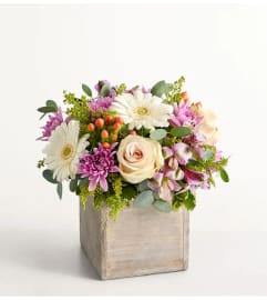 Seraphina's Garden. An arrangement by Flowers of Jacksonville.