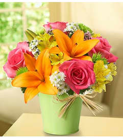 Fields of Europe™ in Green Tin Planter. An arrangement by Blessing and Blooms Florist.