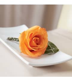 The FTD® New Sunrise™ Boutonniere. An arrangement by Mystic Garden Floral.