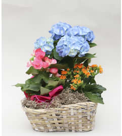 Peter's Spring Garden Basket. An arrangement by Flowers by Peter.