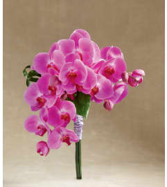 The FTD® Glorious™ Bouquet. An arrangement by Mystic Garden Floral.