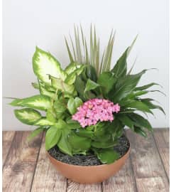 Lush Green Garden. An arrangement by Pike Creek Flower and Gift Shoppe.