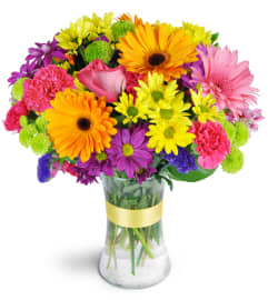 Radiant Rainbow™. An arrangement by Erika's Flowers.